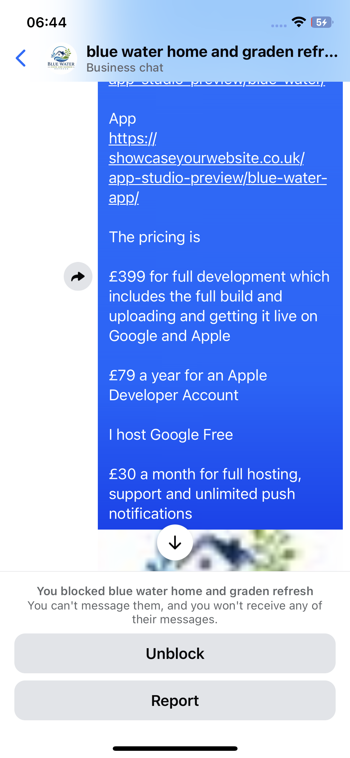 Public proof image: Blue Water Messenger quote/pricing message showing an app-studio preview was sent and pricing was quoted before the late